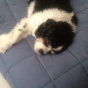 Georgina Green - @Georgiegirl41 - Twitter