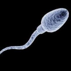 Welcome 2 Sperm World.