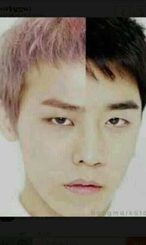 pic_gvi's profile picture. 130212~/빅뱅의 지드래곤과 승리- 두분이 알콩달콩 하는 모습을 사진으로 보여드리는 뇽토리 사진봇입니다.잘부탁드립니다. 웨딩사진 전해드리는 그날까지~~~~/제보멘션마구마구날려주세요/