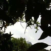 Muhal Farz (@mevsuk) Twitter profile photo