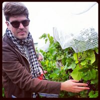 Felix Blackman (@felixblackie) 's Twitter Profile