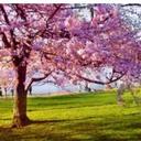 Mona Hamdan - @MoniHamdan - Twitter