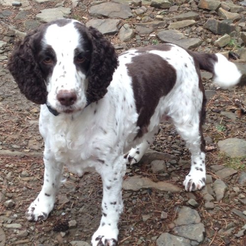 B114nBrian's profile picture. 