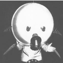 janciello's profile picture. 