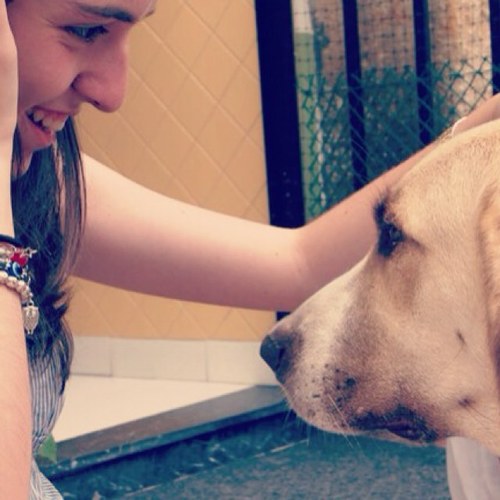 cotis95's profile picture. 