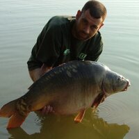 Neil Martin (@tyregeek) 's Twitter Profile