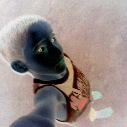 thelonmuriel's profile picture. 