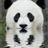 mycraftykitty's profile image