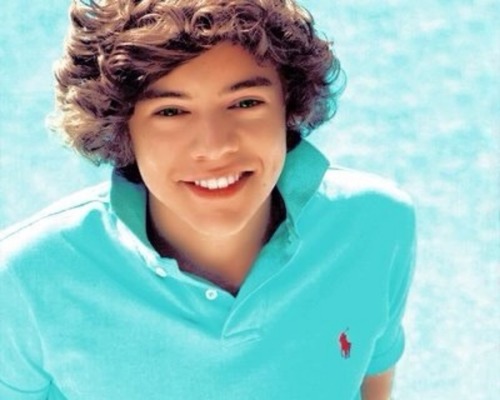 One Direction and JB are my idols. One day I will kiss Harry  #love