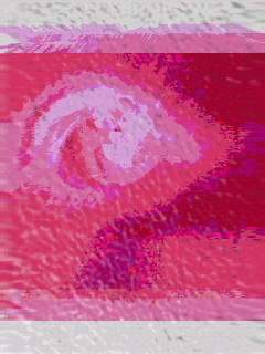 hicanon Profile Picture