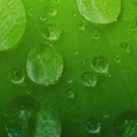 homeandgarden (@homeandgarden) 's Twitter Profile