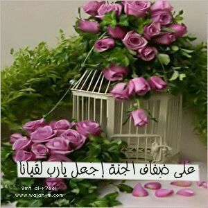إلهّيْ علق قلبي بك وحبك 
والشوٌقٓ لِجّنتِكْ ♡آمنيتي ان يبقى لي آثرآ طيبا في كل مكآن وان اضع بصمة دعويه.اذكر بهآ بعد رحيلي 'يآرب تقبل'