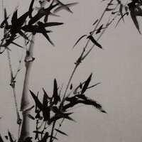 pinehill (@pinehill13) 's Twitter Profile