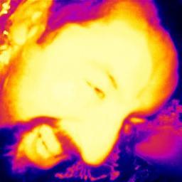 J.A. 🇪🇺🇺🇦🐟