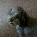 Heidi Bridges - @BridgesHeidi - Twitter