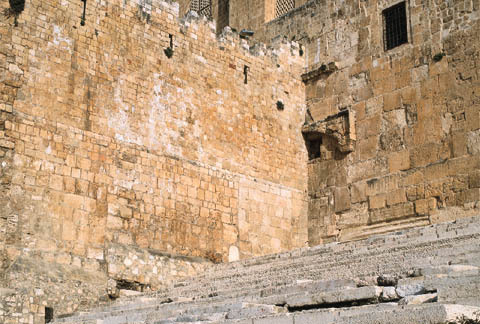 SuciNuraeti's profile picture. 