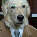 Henry Hawk - @thenicedog - Twitter