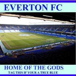 saraefc's profile picture. 