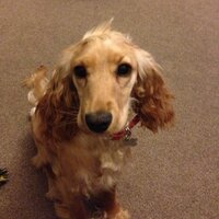 Emma Wanless (@emmawanless23) 's Twitter Profile