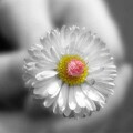 0043