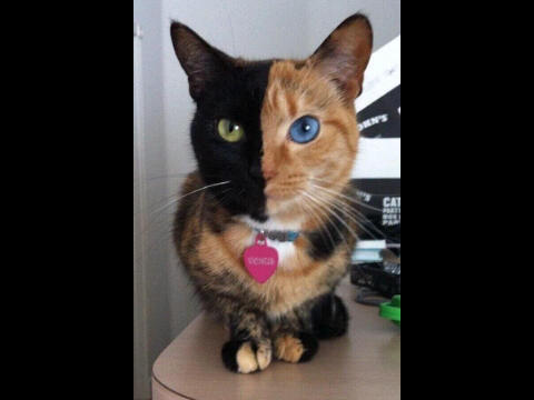 Juanjo_sexxx69's profile picture. 