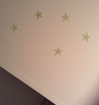 dodobirdforever's profile picture. Follow @dobo2001 for a follow back from me and 2 others @dobobieber