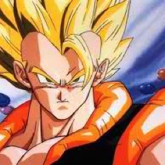 Hi,im GOGETA fusion of goku and vegeta and not fusion of the potara earings and  mostly known as the powerful saiyan so dont block my way