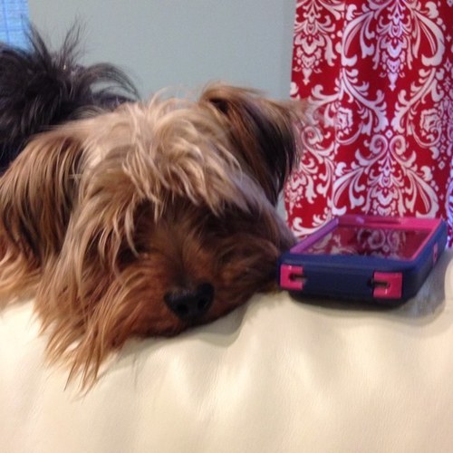 lydiaanneellis's profile picture. Happy wife, crazy teacher, love my God