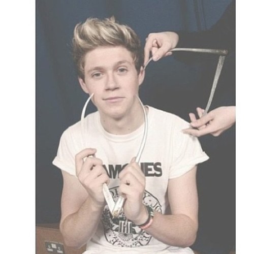 Verified Directioner \\ one love - one direction // Niall is my husband