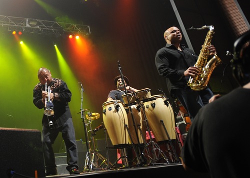 glinehorns's profile picture. follow our new twitter @groovelinehorns