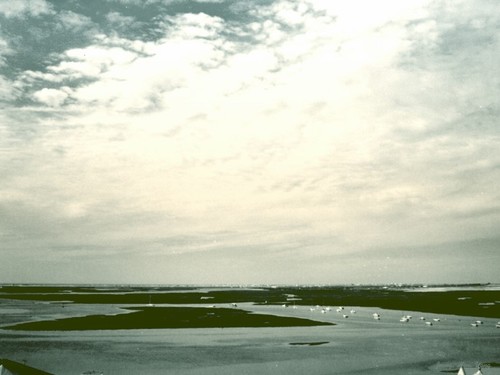 YOULe0530's profile picture. 롯데자이언츠/ 신하균/  선팔후멘션주시면 맞팔해드려요