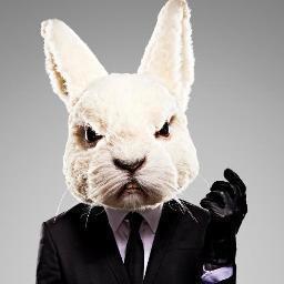 kakuna00's profile picture. 