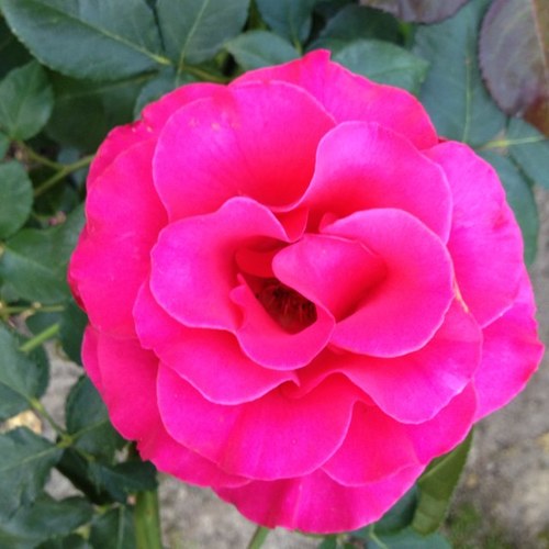 madocyw's profile picture. Crawl. Run. Jump. Climb. Lift. Throw. And do it right.