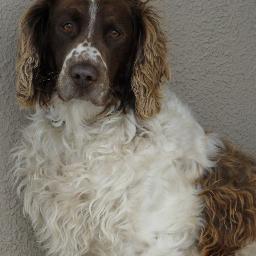 andrewdurkin123's profile picture. Former Co owner of Durkins Bar, Restaurant & Accommodation. ‘In the midst of every crisis lies great opportunity’ . Works for FDK Engineering, Ballaghaderreen