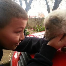 ayazkoc2's profile picture. 