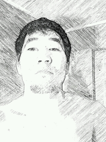 Electronic engineer.