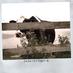 Farmyard (@farmyardrecords) Twitter profile photo