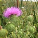 Christopher Dennison - @aegisthorn - Twitter