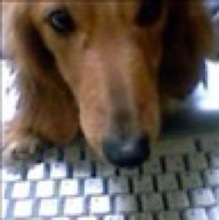 深海ウシノシタさんのプロフィール画像