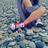 keilla860's profile image