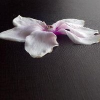 Jessica Parry (@j_h_parry) 's Twitter Profile