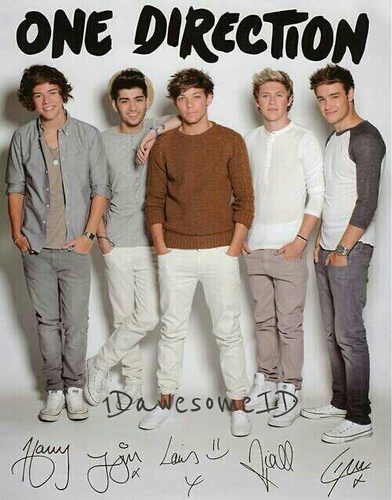 In love with 5 gorgeous boys named one direction.kami cinta 1D,1D cinta kami.kalau kamu?;D
