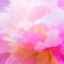 SandraColsonArt - @SandraColsonArt - Twitter