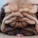 Brian Campisi Jr - @TheBaysNinja - Twitter