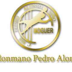 El Balonmano en Moguer surge en el año 1.971, en una Cátedra Deportiva celebrada en el Colegio Público “Pedro Alonso Niño”