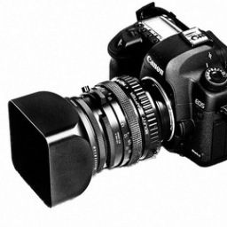 Great photography is about depth of feeling, not depth of field. - Peter Adams