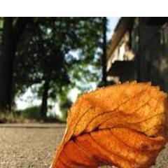 mmaramarija's profile picture. 