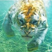 N.G.E. Sarmo (@nigelsarmo) 's Twitter Profile