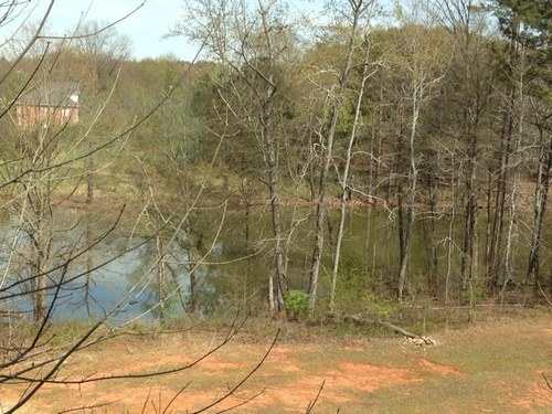 Lenscott17Lynne's profile picture. 