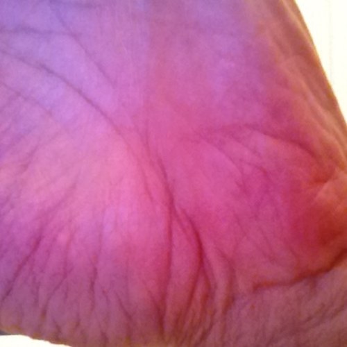 sharfantah's profile picture. 